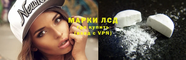 дживик Липки